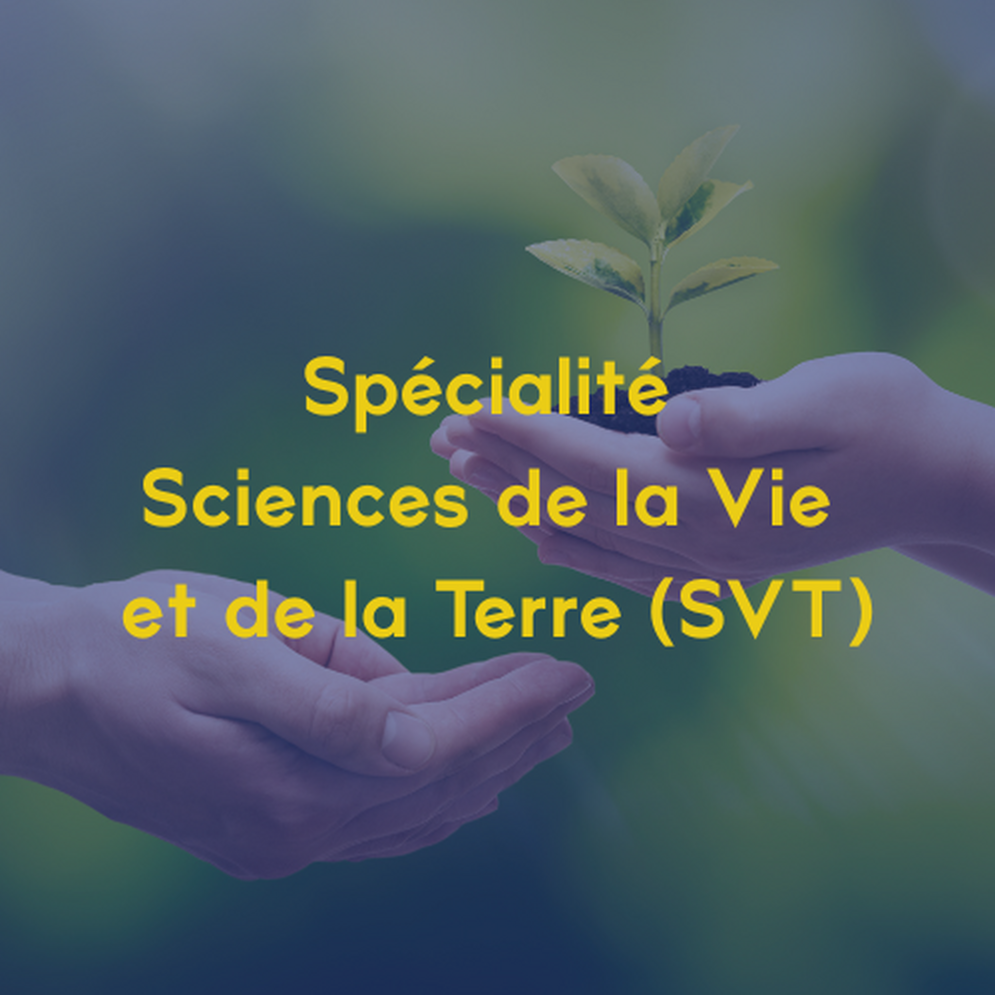 SVT